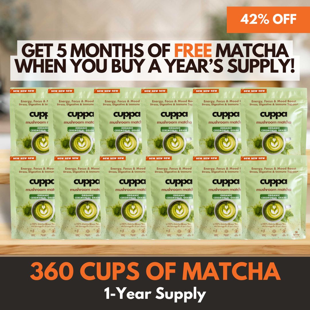 'Year of Matcha' Bundle