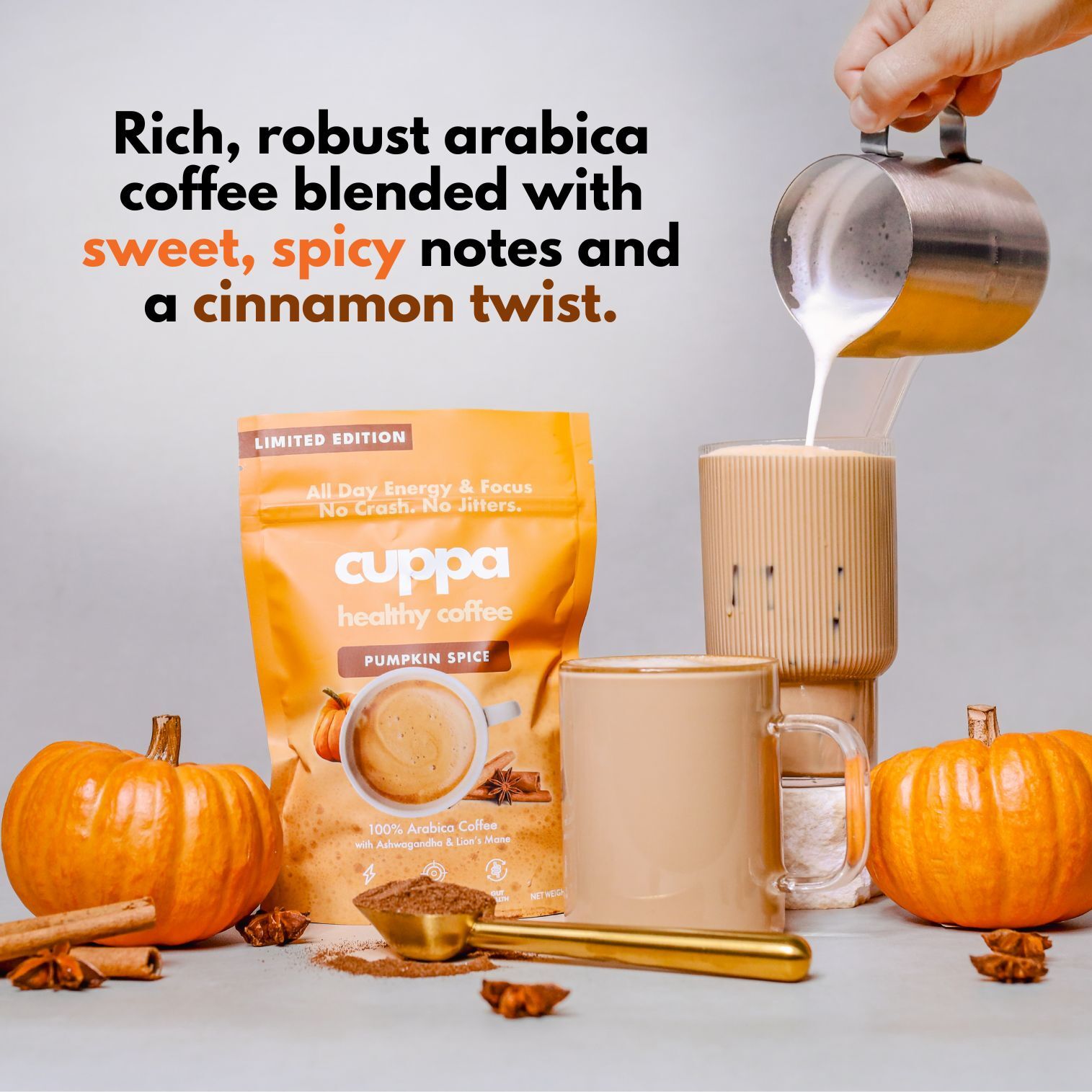 Pumpkin Spice|Instant|60 servings