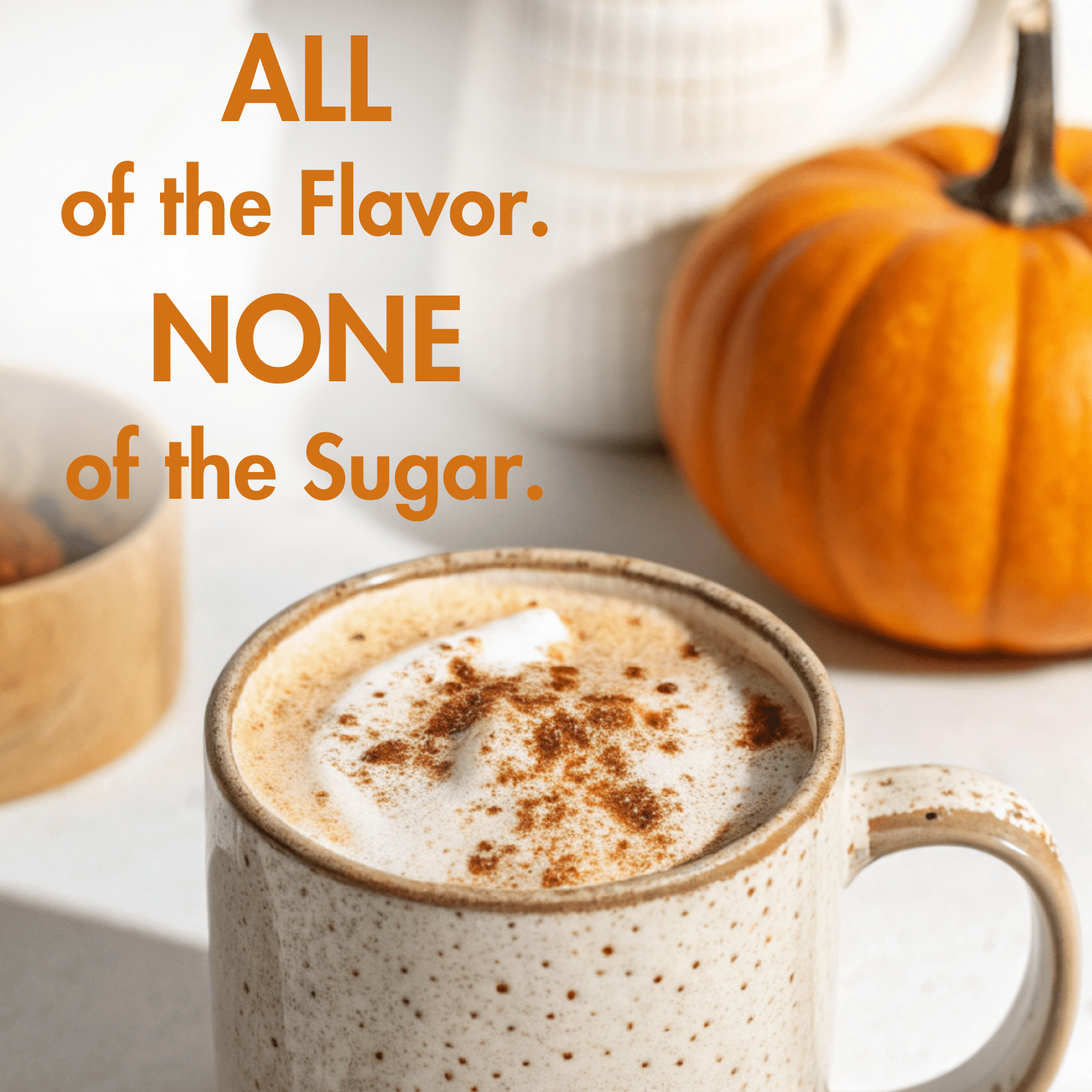 Pumpkin Spice|Instant|90 servings