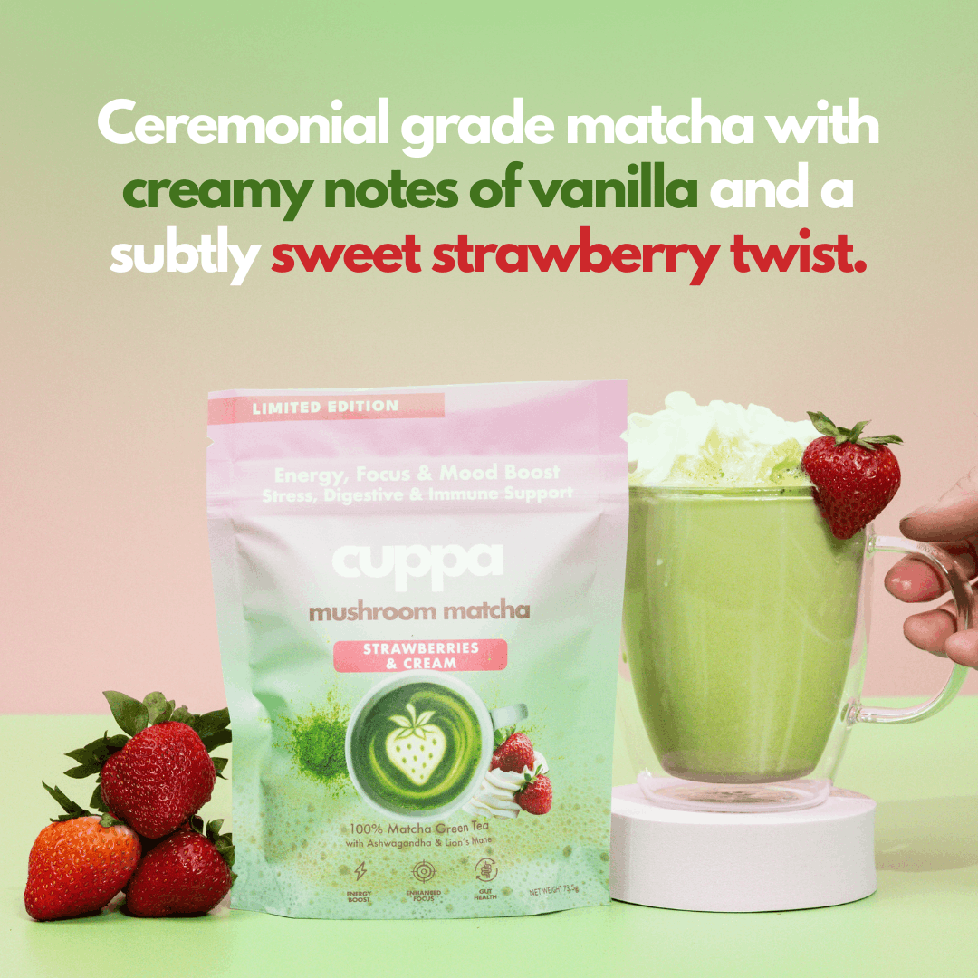 Strawberries & Cream|90 servings