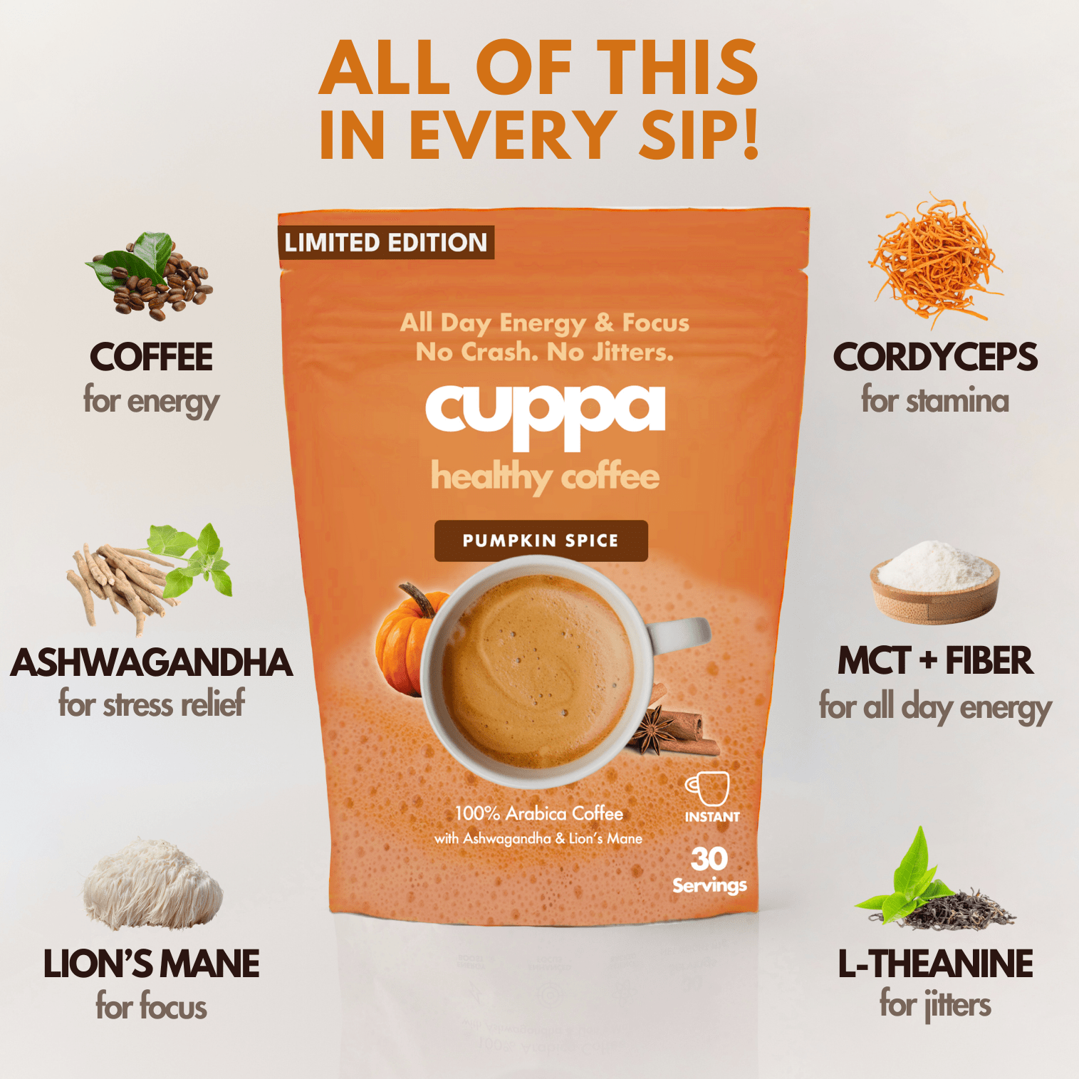 Pumpkin Spice|Instant|60 servings