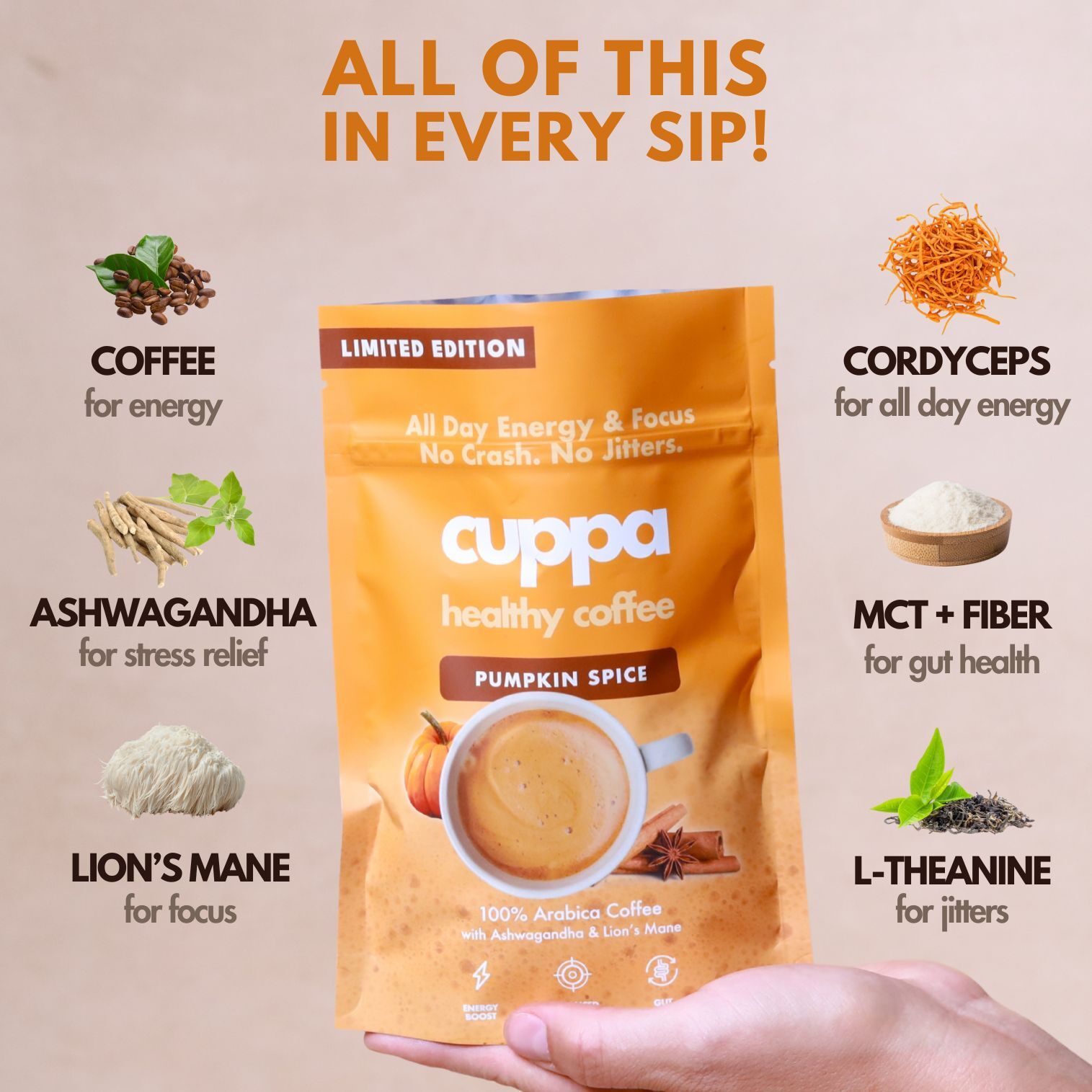 Pumpkin Spice|Instant|90 servings