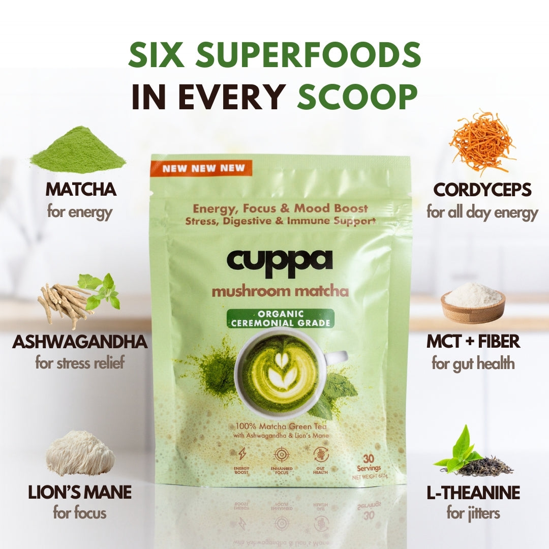 Original|30 servings