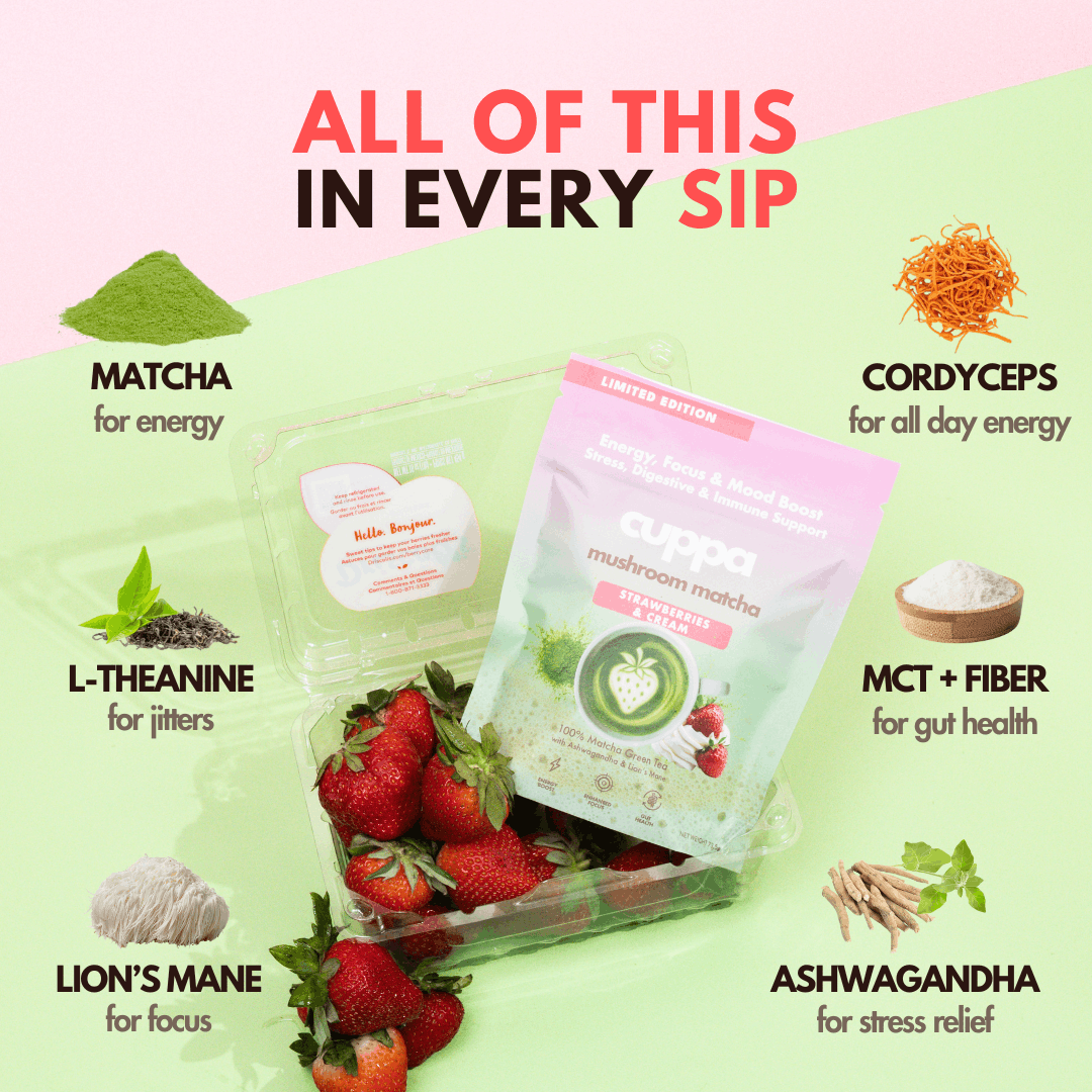 Strawberries & Cream|90 servings