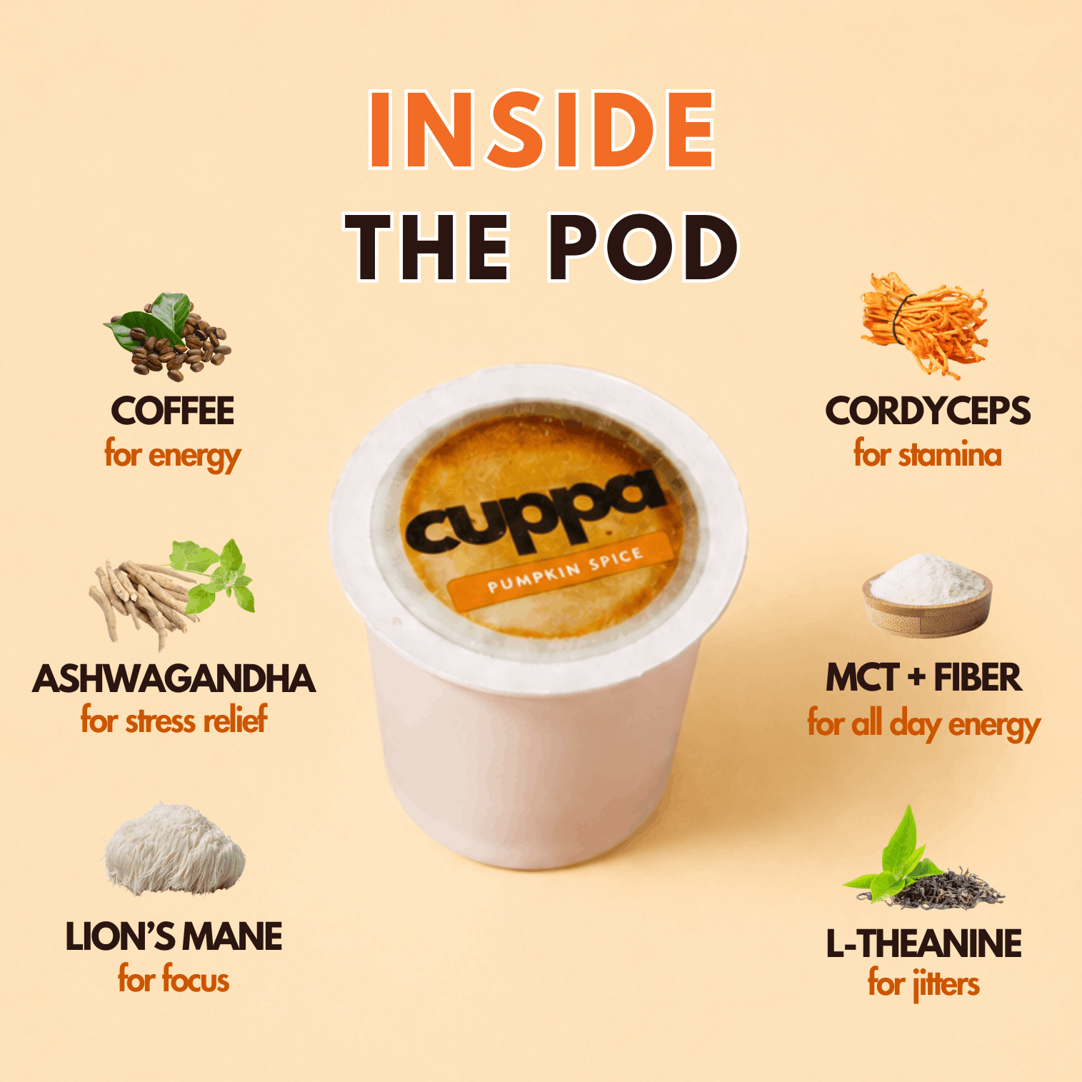 Pumpkin Spice|Pods
